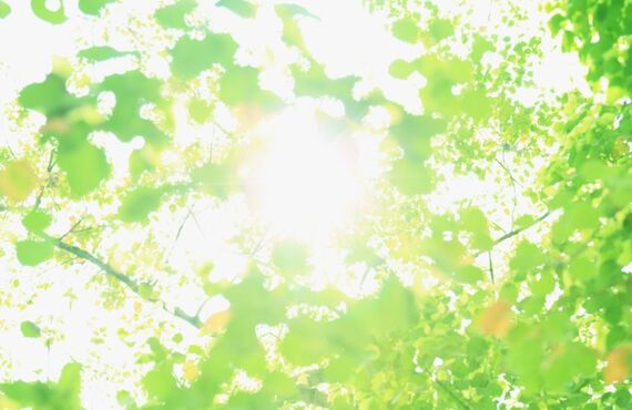 [アイス好き必見]アイスを罪悪感なく食べる方法！｜和泉市　BODYRISE